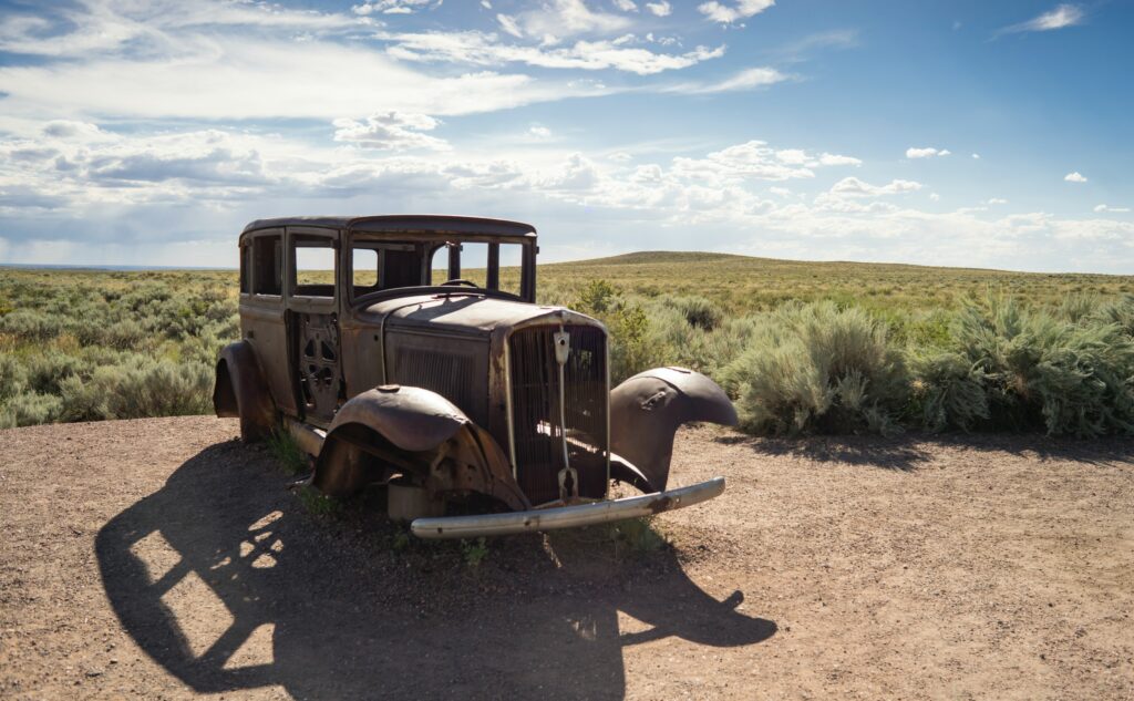 Petrified-Forest-National-Park-Arizona-USA-TRUE-amerika-america-amerika-rundreisen-usa-kanada-reiseveranstalter-individuelle-usa-reisen-abenteuer-stars-hollywood-movie-blockbuster-golden-gate-brigde-freiheitsstatue