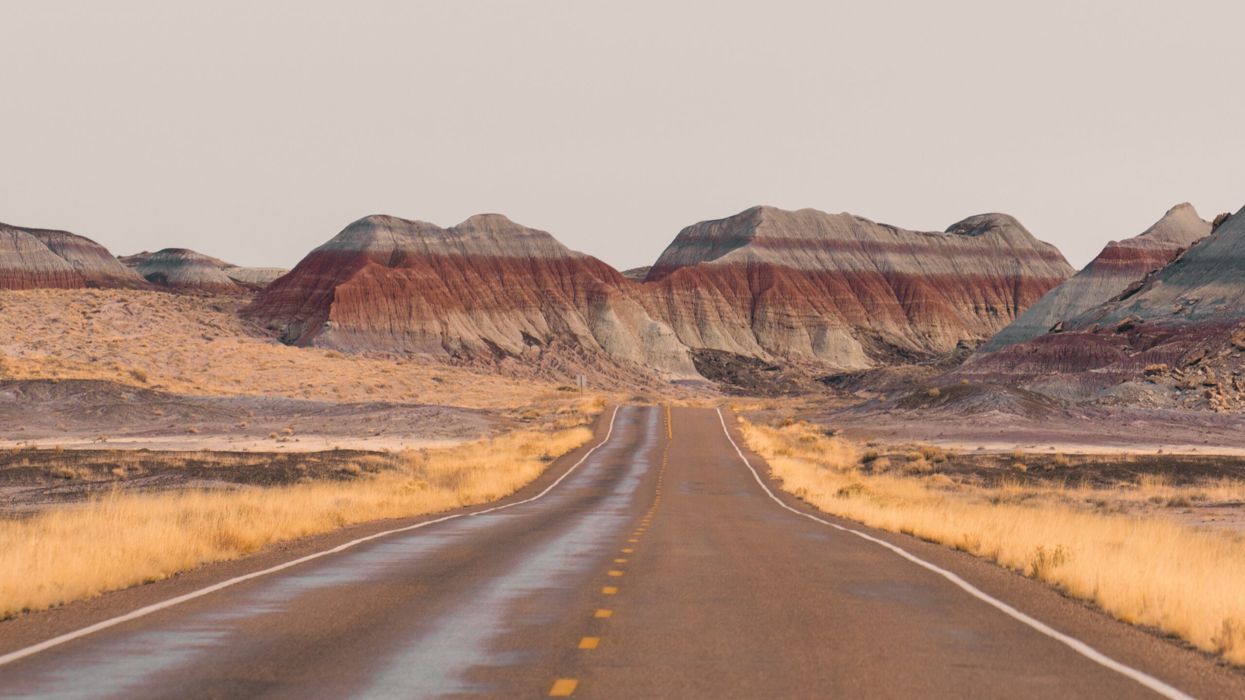 Petrified-Forest-National-Park-Arizona-USA-TRUE-amerika-america-amerika-rundreisen-usa-kanada-reiseveranstalter-individuelle-usa-reisen-abenteuer-stars-hollywood-movie-blockbuster-golden-gate-brigde-freiheitsstatue