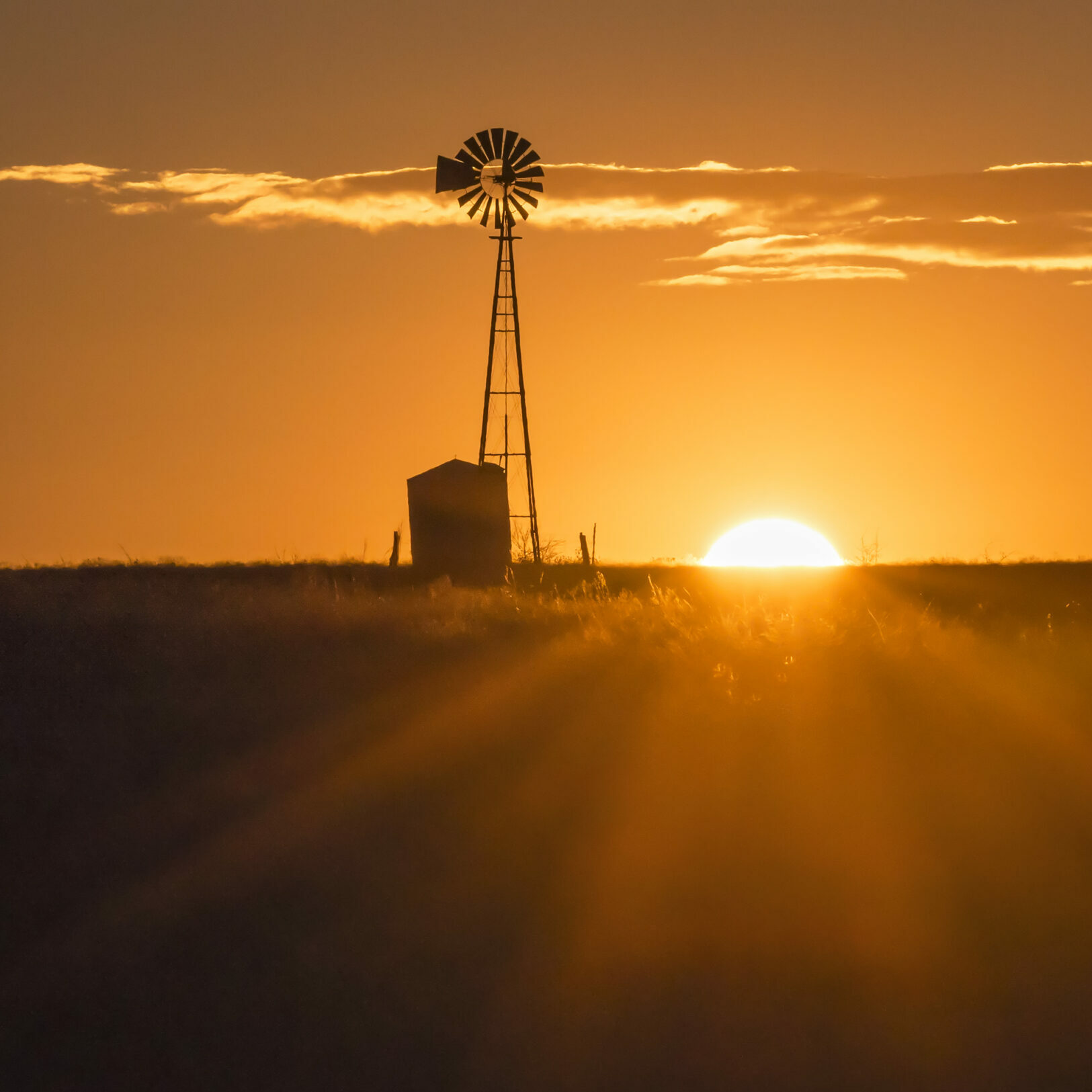 Sunset-in-Texas-Hill-Country-Texas-USA-TRUE-amerika-america-amerika-rundreisen-usa-kanada-reiseveranstalter-individuelle-usa-reisen-abenteuer-stars-hollywood-movie-blockbuster-golden-gate-brigde-freiheitsstatue