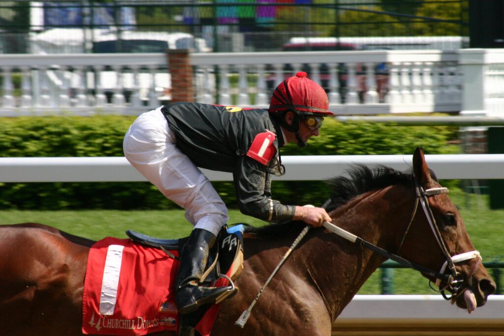 Horse-at-Churchill-Downs-Louisville-Kentucky-USA-TRUE-amerika-america-amerika-rundreisen-usa-kanada-reiseveranstalter-individuelle-usa-reisen-abenteuer-stars-hollywood-movie-blockbuster-golden-gate-brigde-freiheitsstatue