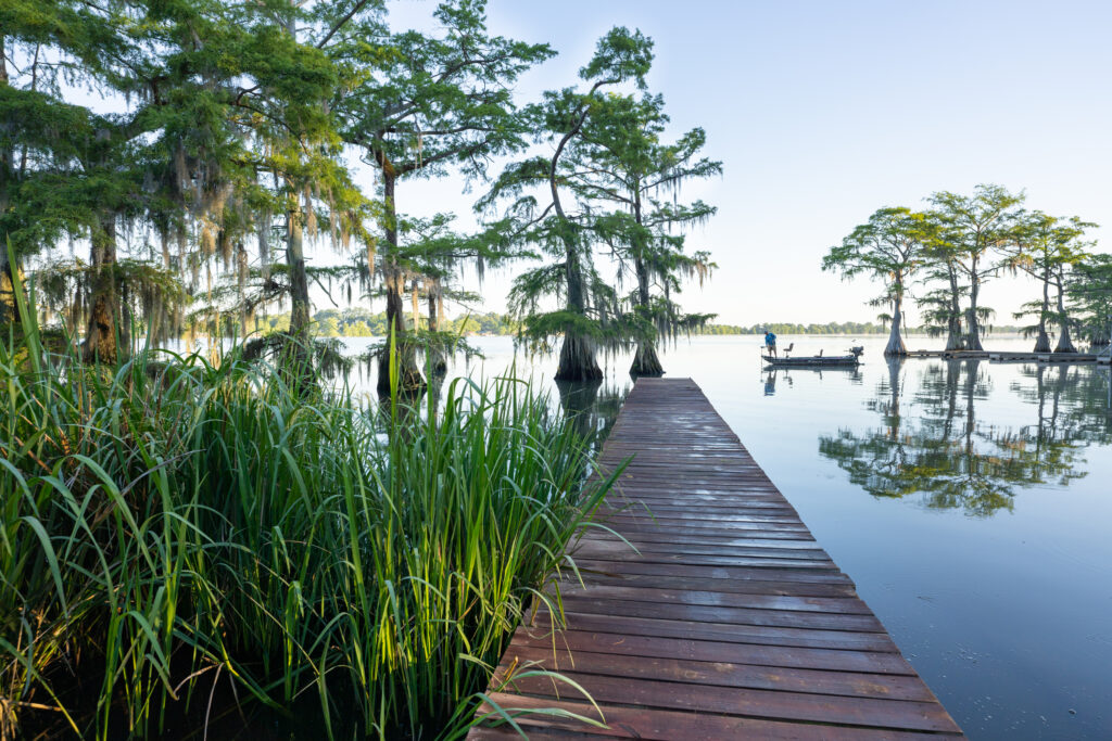 Camping-and-Scenic-Views-at-Lake-Bruin-State-Park-Louisiana-USA-TRUE-amerika-america-amerika-rundreisen-usa-kanada-reiseveranstalter-individuelle-usa-reisen-abenteuer-stars-hollywood-movie-blockbuster-golden-gate-brigde-freiheitsstatue