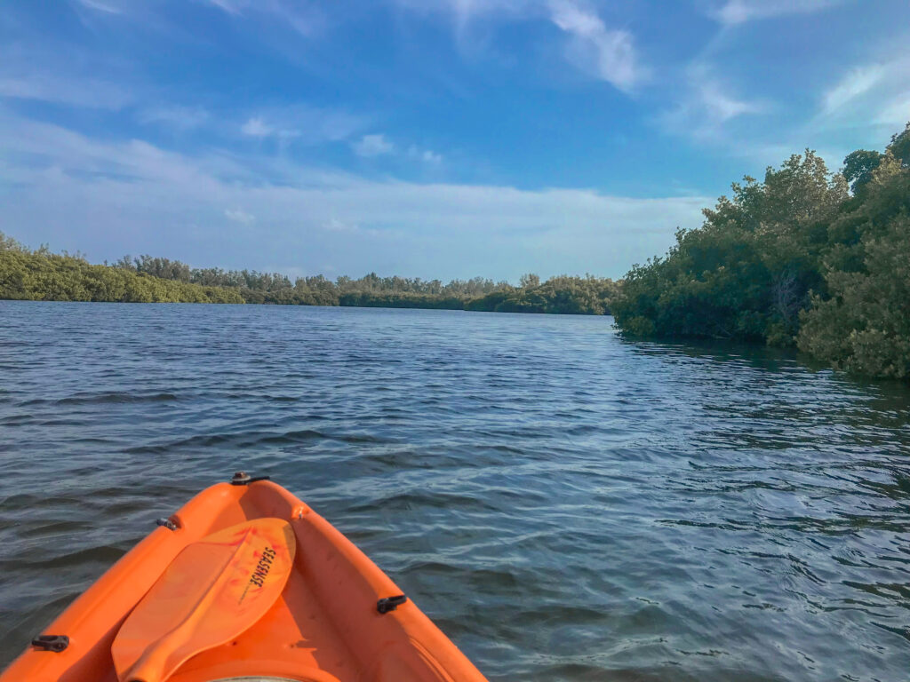 MangroveTunnels ©Ted Sperling-Park-USA-TRUE-amerika-america-amerika-rundreisen-usa-kanada-reiseveranstalter-individuelle-usa-reisen-abenteuer-stars-hollywood-movie-blockbuster-golden-gate-brigde-freiheitsstatue