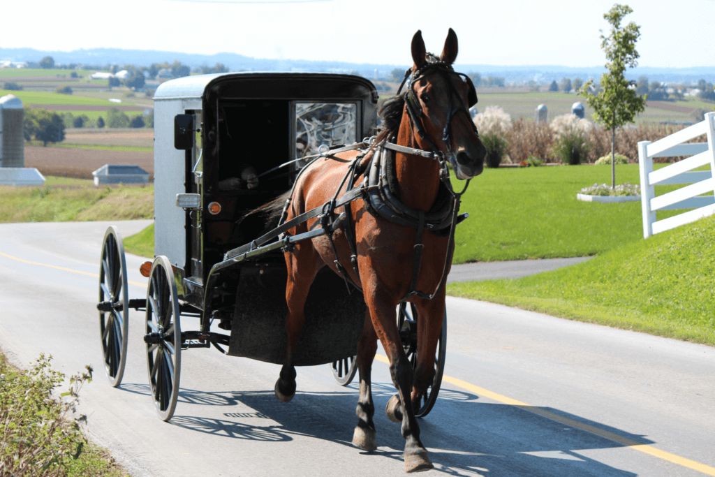 Amish-County-Day-Trip-Pennsylvania-USA-TRUE-amerika-america-amerika-rundreisen-usa-kanada-reiseveranstalter-individuelle-usa-reisen-abenteuer-stars-hollywood-movie-blockbuster-golden-gate-brigde-freiheitsstatue