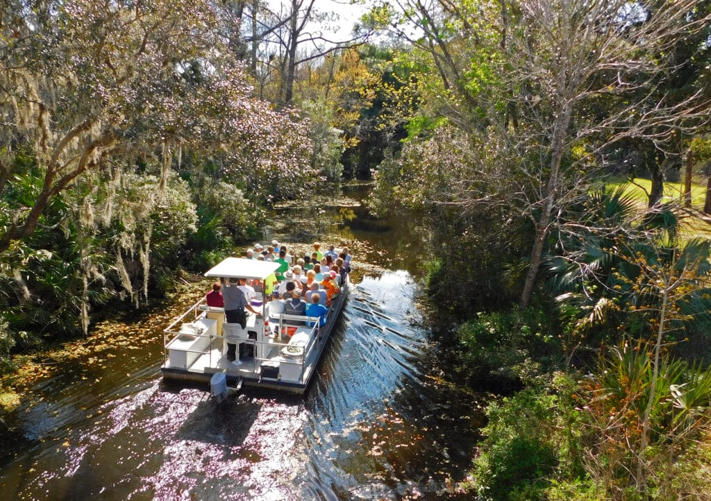 B5 Ellie Schiller Homoassa Springs Wildlife State Park_Pepper Creek Boat Cruise-USA-TRUE-amerika-america-amerika-rundreisen-usa-kanada-reiseveranstalter-individuelle-usa-reisen-abenteuer-stars-hollywood-movie-blockbuster-golden-gate-brigde-freiheitsstatue