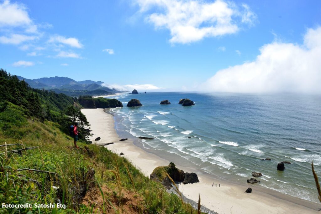 Ecola-State-Park-in-Clatsop-County-Oregon-USA-TRUE-amerika-america-amerika-rundreisen-usa-kanada-reiseveranstalter-individuelle-usa-reisen-abenteuer-stars-hollywood-movie-blockbuster-golden-gate-brigde-freiheitsstatue